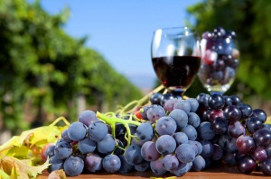 Виноград как спутник жизни